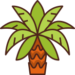 Date Palm icon