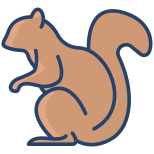 Squirrel icon