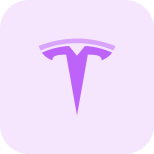 Tesla Logo Filled icon