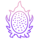 Dragon Fruit icon