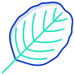 Alder Leaf icon