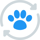 Pet Insurance Renewal icon