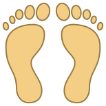 Footprint icon