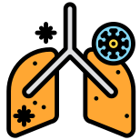 Anatomy icon