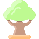 Tree icon