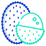 Lychee icon