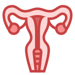 Uterus icon