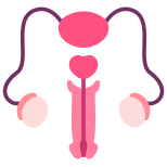 Reproductive System icon