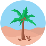 Desert icon