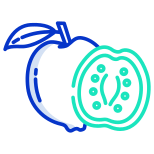 Guava icon