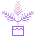 Fern icon