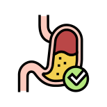 Digestion icon