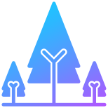 Trees icon