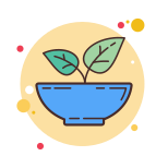 Healthy Food icon