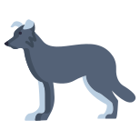 Border Collie icon