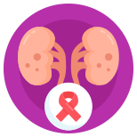 Kidneys icon