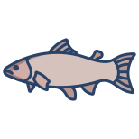 Salmon Fish icon