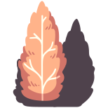 Tree icon