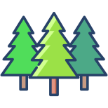 Arbre icon