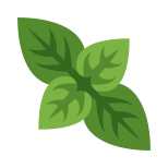 Basil icon