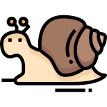 Caracol icon