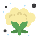 Cauliflower icon