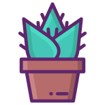 Aloe Vera icon