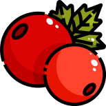 Berry icon