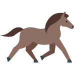 cavallo da trotto icon