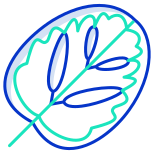 Calathea Leaf icon
