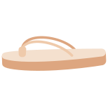 Flip Flop icon