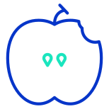 Apple icon