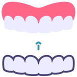 Orthodontic icon