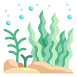 Seaweed icon