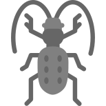 地甲虫 icon