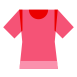 Womens T-Shirt icon