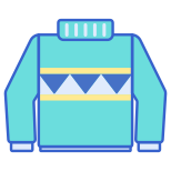 Sweater icon