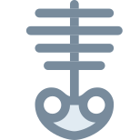 Skeleton icon