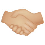 Handshake Medium Light Skin Tone icon