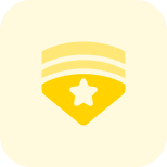 High rank air force officer with star emblem icon