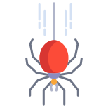 Spider icon