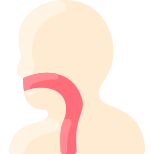 Esophagus icon