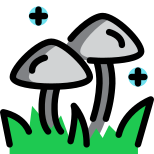 Funghi icon