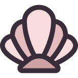 Concha icon