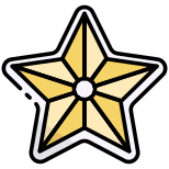 Étoile de Noël icon