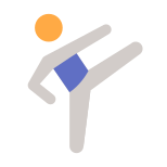 Taekwondo Skin Type 2 icon