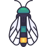 Cicada icon