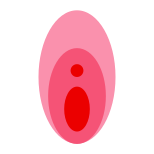膣 icon
