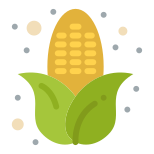 옥수수 icon