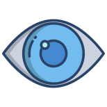 Eye icon